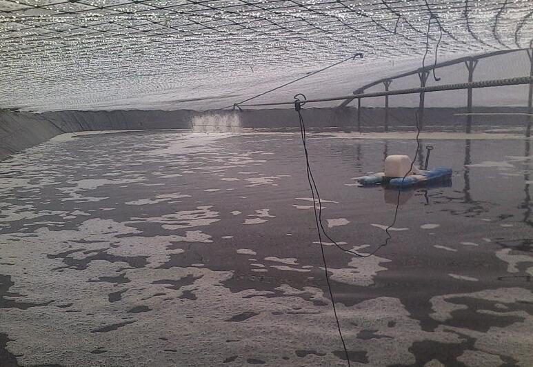 魚(yú)塘修建土工膜和混凝土哪種方法更可靠？