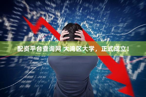 配资平台查询网 大湾区大学，正式成立！